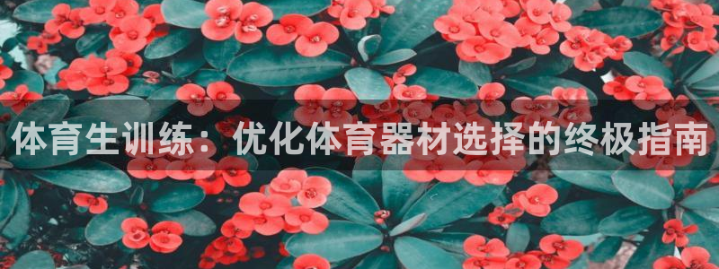 耀世娱乐平台官网下载：体育生训练：优化体育器材选择的