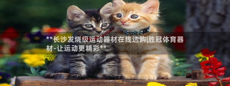 耀世娱乐怎么注册不了：**长沙发烧级运动器材在线选购