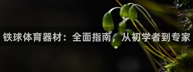 耀世微光mv：铁球体育器材：全面指南，从初学者到专家