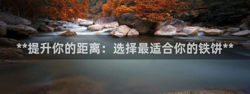 耀世集团王大聪：**提升你的距离：选择最适合你的铁饼