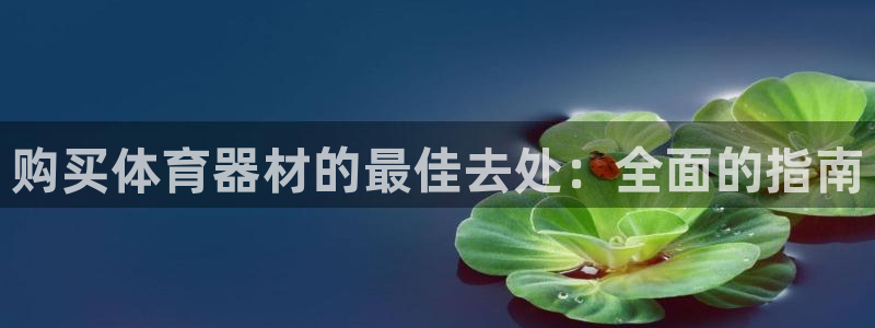 耀世娱乐是不是赚钱了：购买体育器材的最佳去处：全面的