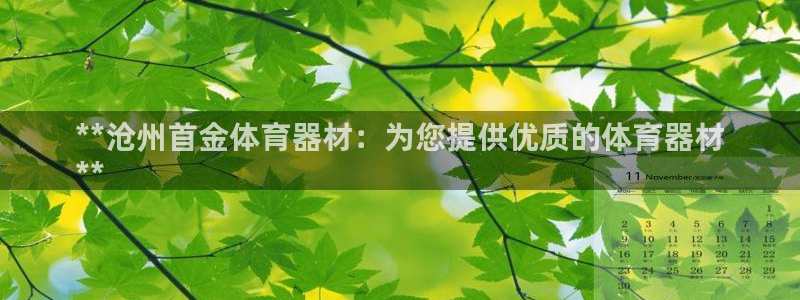 耀世平台开户：**沧州首金体育器材：为您提供优质的体