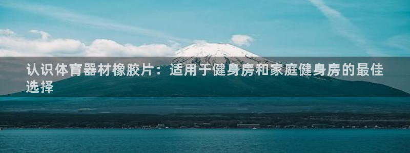 耀世挑战第三关怎么过：认识体育器材橡胶片：适用于健身