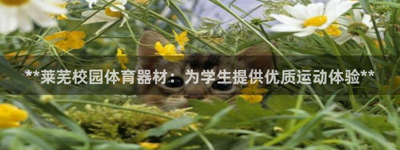 耀世国际平台正规吗安全吗可信吗：**莱芜校园体育器材