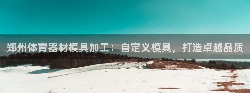 耀世娱乐是不是赚钱了：郑州体育器材模具加工：自定义模