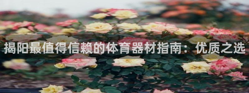 耀世平台哪个彩种是公平彩：揭阳最值得信赖的体育器材指
