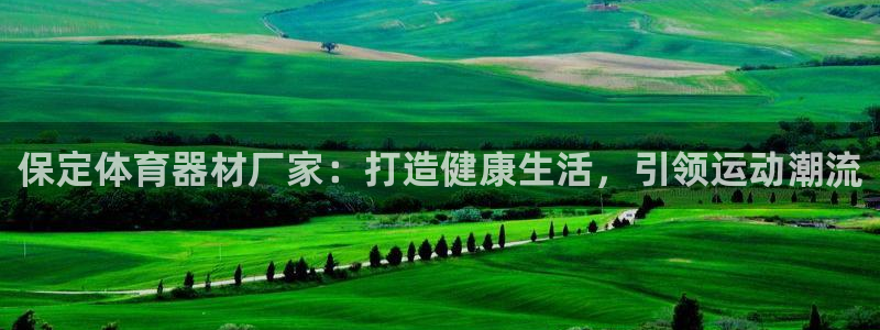 耀世娱乐返点多少钱：保定体育器材厂家：打造健康生活，