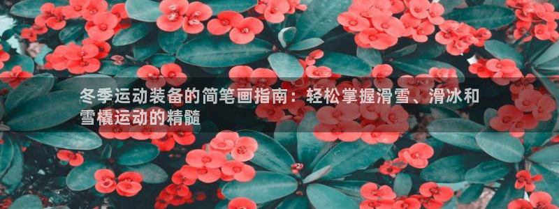 耀世集团董事长耀阳：冬季运动装备的简笔画指南：轻松掌