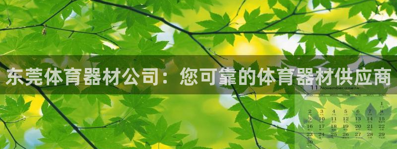 耀世娱乐含山县：东莞体育器材公司：您可靠的体育器材供