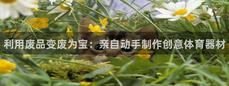 耀世娱乐登陆地址怎么改：利用废品变废为宝：亲自动手制