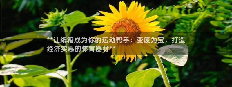 耀世平台日7O777：**让纸箱成为你的运动帮手：变