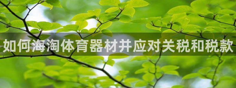 耀世官网入口：如何海淘体育器材并应对关税和税款