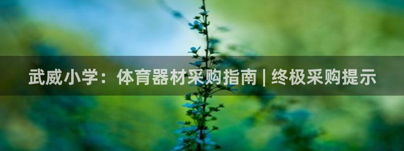 耀世集团视频直播：武威小学：体育器材采购指南 | 终