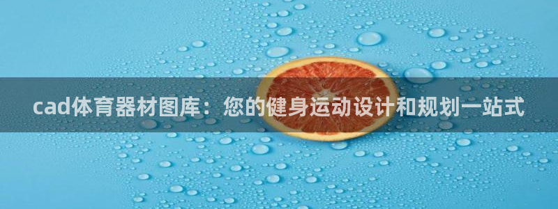 耀世娱乐客服电话号码：cad体育器材图库：您的健身运