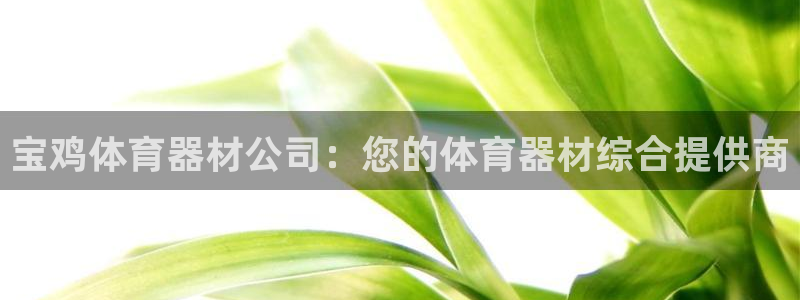 耀世娱乐脚本下载官网：宝鸡体育器材公司：您的体育器材