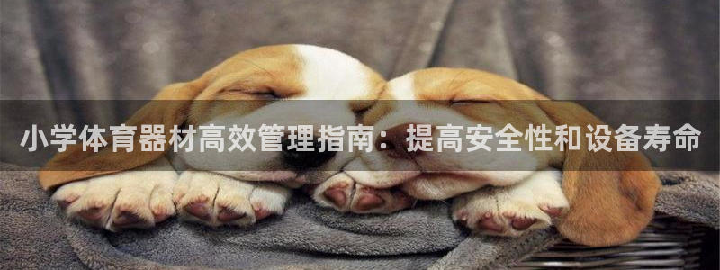 耀世娱乐挂机：小学体育器材高效管理指南：提高安全性和