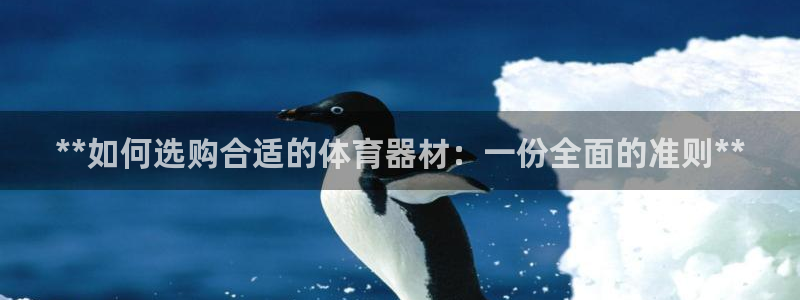 耀世而生：**如何选购合适的体育器材：一份全面的准则