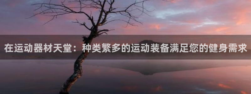 耀世平台六七五一38：在运动器材天堂：种类繁多的运动