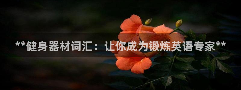 耀世娱乐是正规还是仿：**健身器材词汇：让你成为锻炼