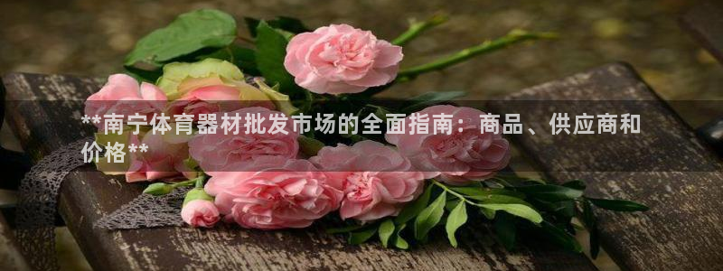 耀世平台注册网址查询：**南宁体育器材批发市场的全面