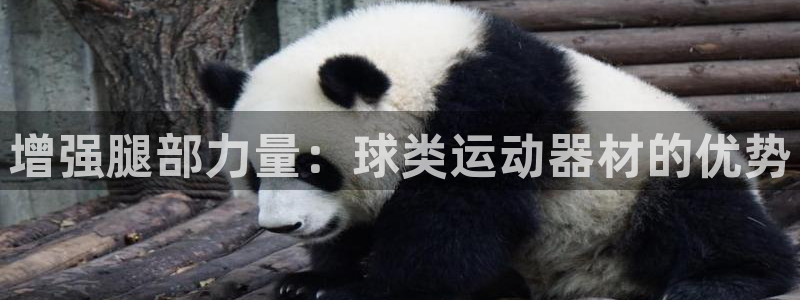 耀世天下的网名是什么意思啊：增强腿部力量：球类运动器