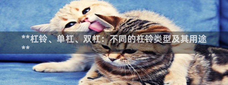 耀世娱乐出款快吗：**杠铃、单杠、双杠：不同的杠铃类