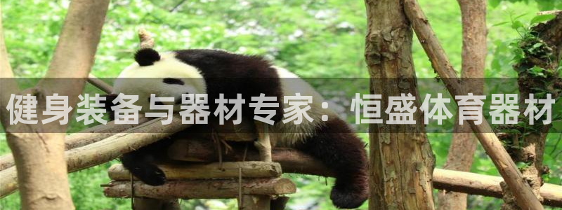 耀世娱乐圈主管：健身装备与器材专家：恒盛体育器材