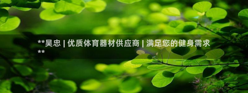 耀世登场的图片：**吴忠 | 优质体育器材供应商 |