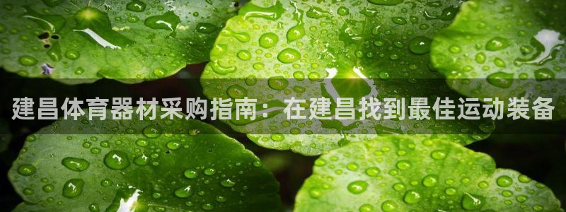 耀世娱乐平台官网登录不了：建昌体育器材采购指南：在建