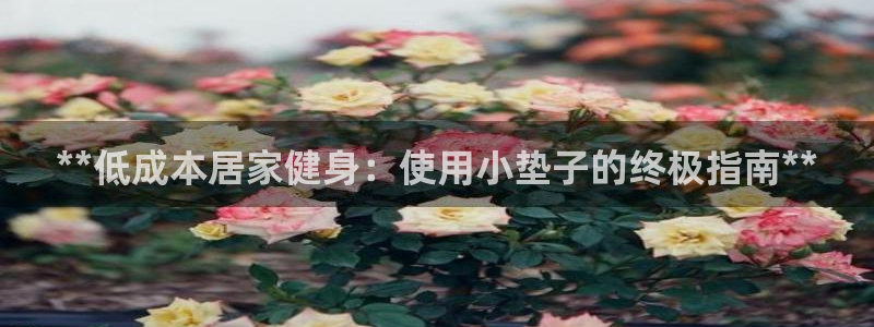 耀世娱乐间7O777：**低成本居家健身：使用小垫子