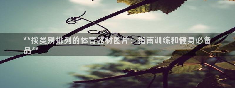 耀世娱乐联3.7.9.9.7 天乐：**按类别排列的