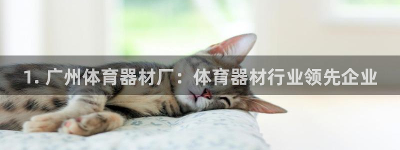 耀世平台是黑台子吗：1. 广州体育器材厂：体育器材行