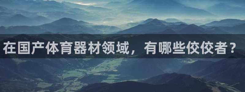 耀世娱乐app下载安装苹果：在国产体育器材领域，有哪