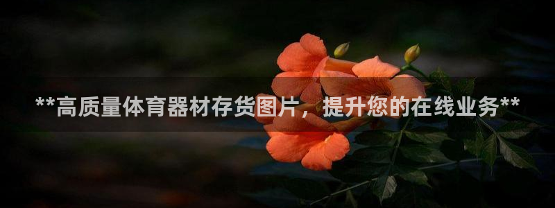 耀世和耀至的区别：**高质量体育器材存货图片，提升您