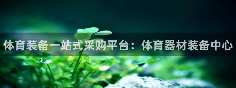 耀世国际平台正规吗可靠吗安全吗：体育装备一站式采购平