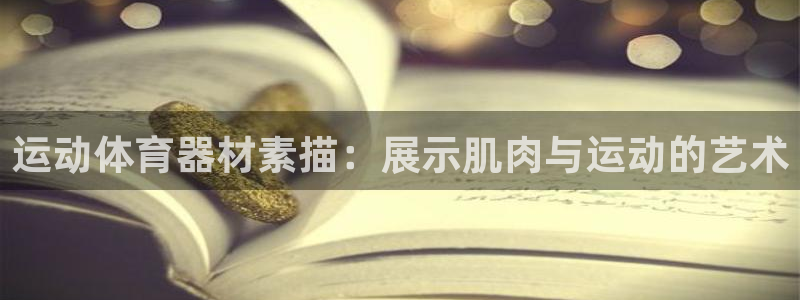 耀世平台主管代理是谁：运动体育器材素描：展示肌肉与运