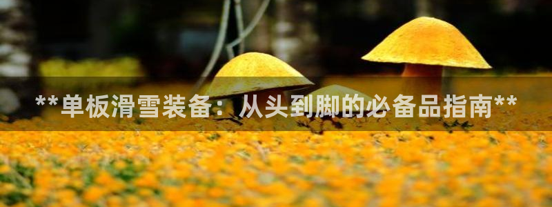 耀世登场什么意思：**单板滑雪装备：从头到脚的必备品