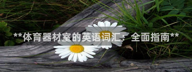 耀世娱乐百科：**体育器材室的英语词汇：全面指南**