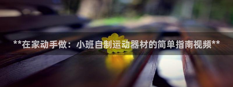 耀世幻主：**在家动手做：小班自制运动器材的简单指南