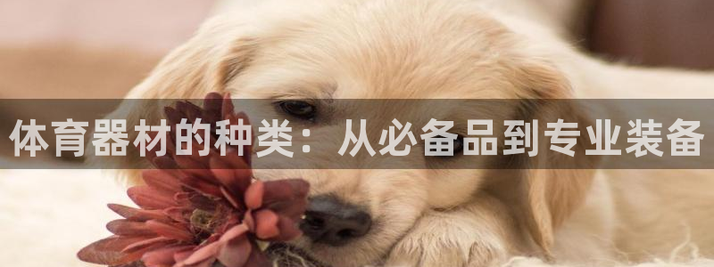 耀世娱乐注册官网入口：体育器材的种类：从必备品到专业