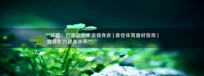 耀世三国官网：**标题：打造您的家庭健身房 | 最佳