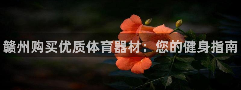 耀世天下短句：赣州购买优质体育器材：您的健身指南