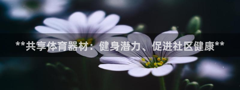 耀世娱乐脚本下载：**共享体育器材：健身潜力、促进社