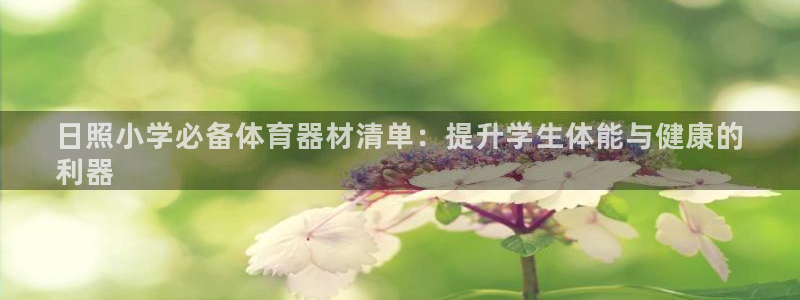 耀世国际集团是国企吗：日照小学必备体育器材清单：提升