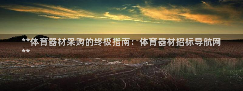 耀世来袭：**体育器材采购的终极指南：体育器材招标导