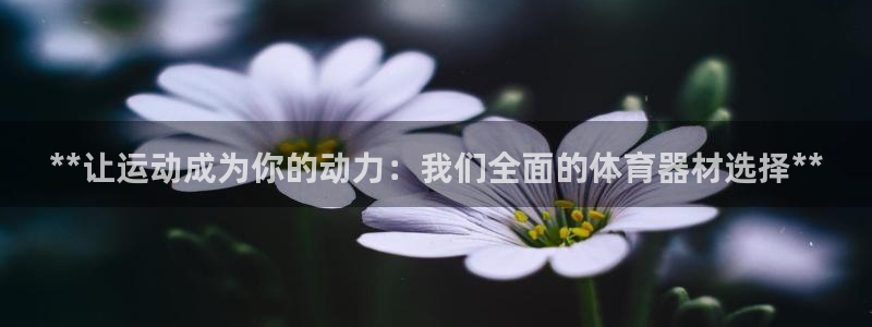耀世娱乐在线登录官网入口网址：**让运动成为你的动力