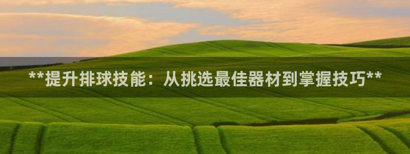 耀世娱乐是什么：**提升排球技能：从挑选最佳器材到掌