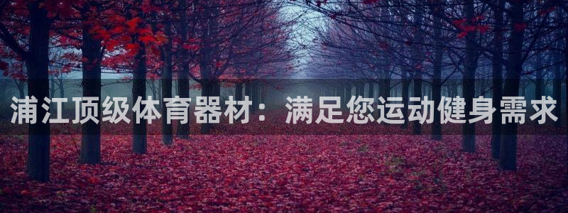 耀世平台网站：浦江顶级体育器材：满足您运动健身需求