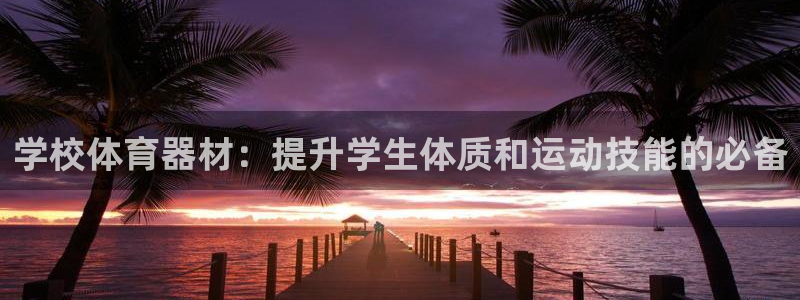 耀世娱乐骗局：学校体育器材：提升学生体质和运动技能的
