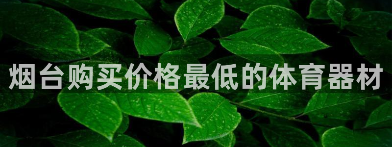 耀世平台推 411o31 耀世：烟台购买价格最低的体